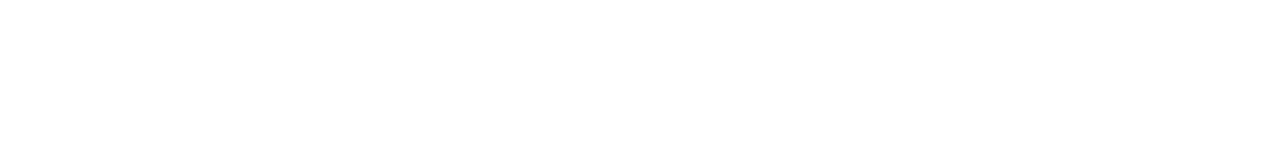 Smulders carsystems